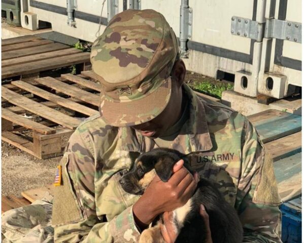 Cucciolo di cane si riunisce con il suo sergente la storia commovente