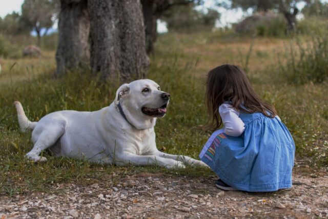 4 consigli per far conoscere un cane e un bambino in sicurezza