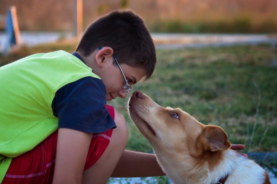 cane con ragazzino