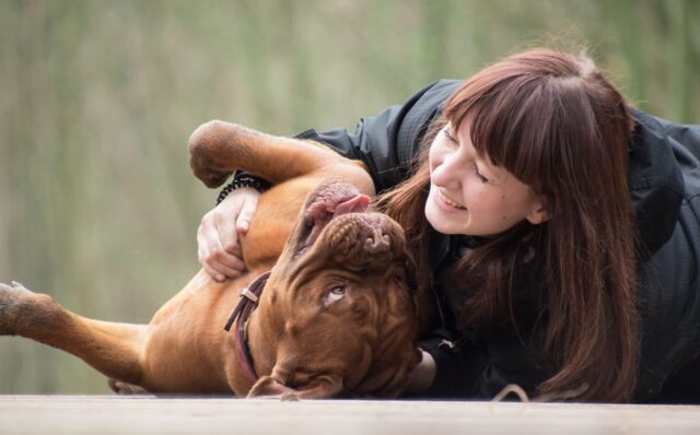 5 foto di cani che hanno svoltato la vita ai loro proprietari