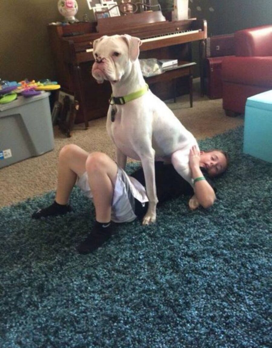 cane sopra bambino