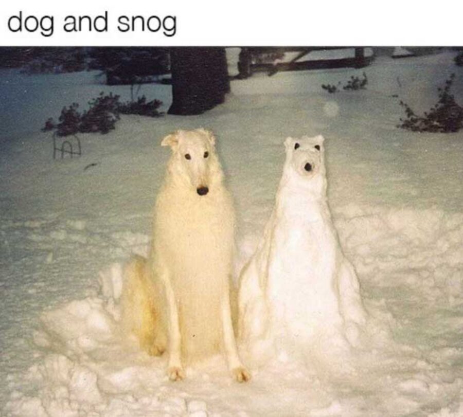 cane neve pupazzo