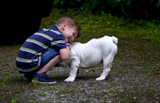 6 foto di cani e bambini immortalati mentre giocano assieme