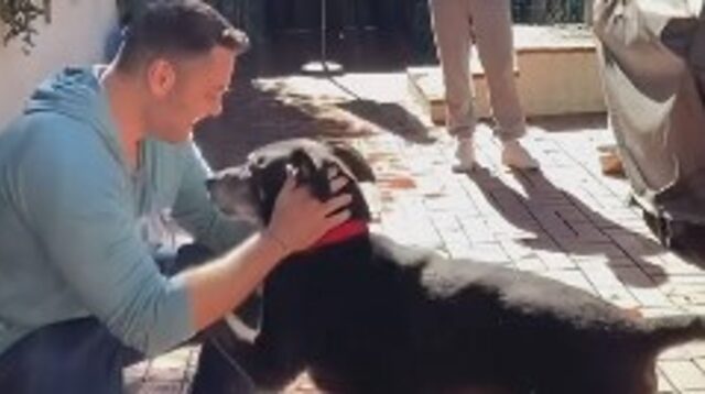Tiziano Ferro adotta un cagnolone destinato all’eutanasia a un mese dalla morte del suo cane Jake (VIDEO)