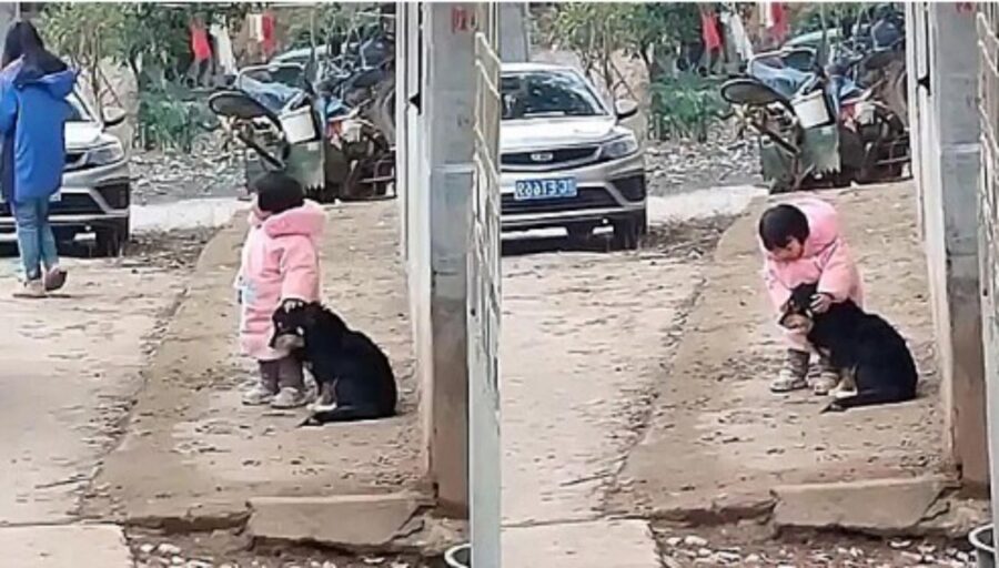 bambina protegge cane dai fuochi d'artificio