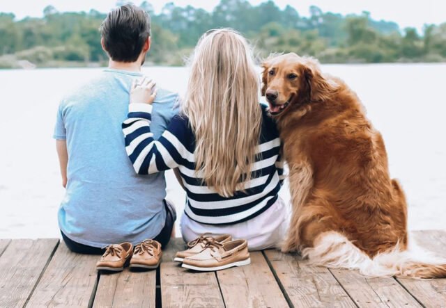 5 biglietti per San Valentino con i cani, i più romantici