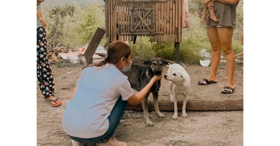 cucciolo eroe salva la vita ad un bambino abbandonato