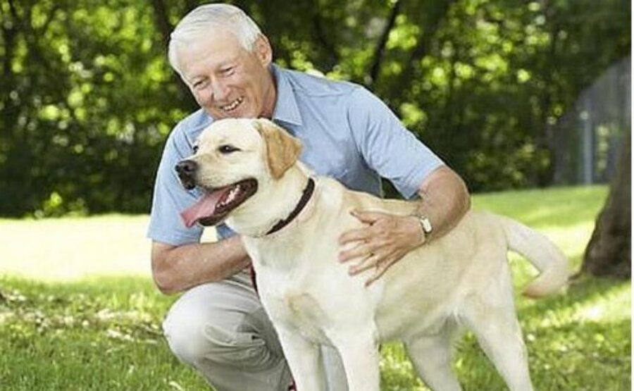 anziano con labrador