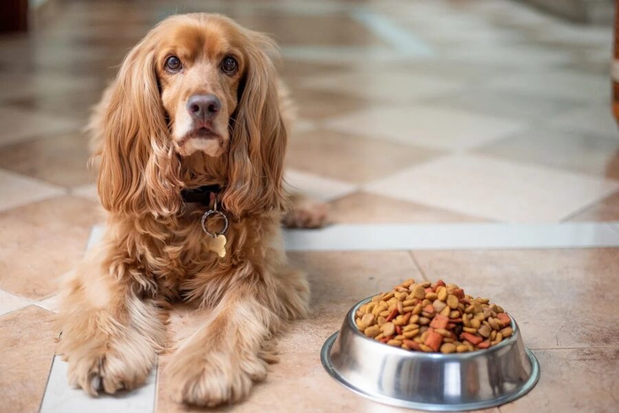 croccantini per cani di razza