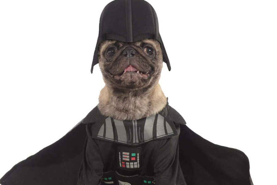 cane vestito da Darth Vader