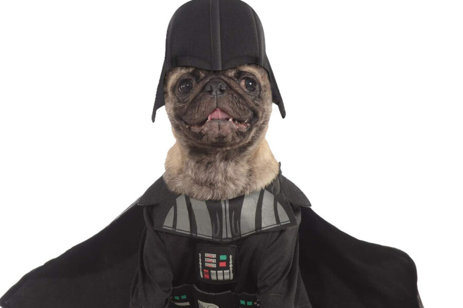 cane travestito da Darth vader