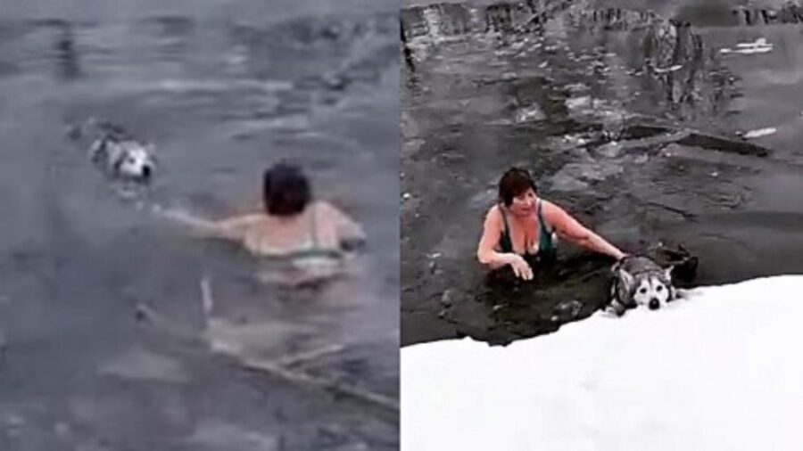 donna recupera cane nel fiume