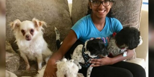 Una ragazza adottata aiuta i cani anziani a trovare una casa per sempre, come è successo a lei