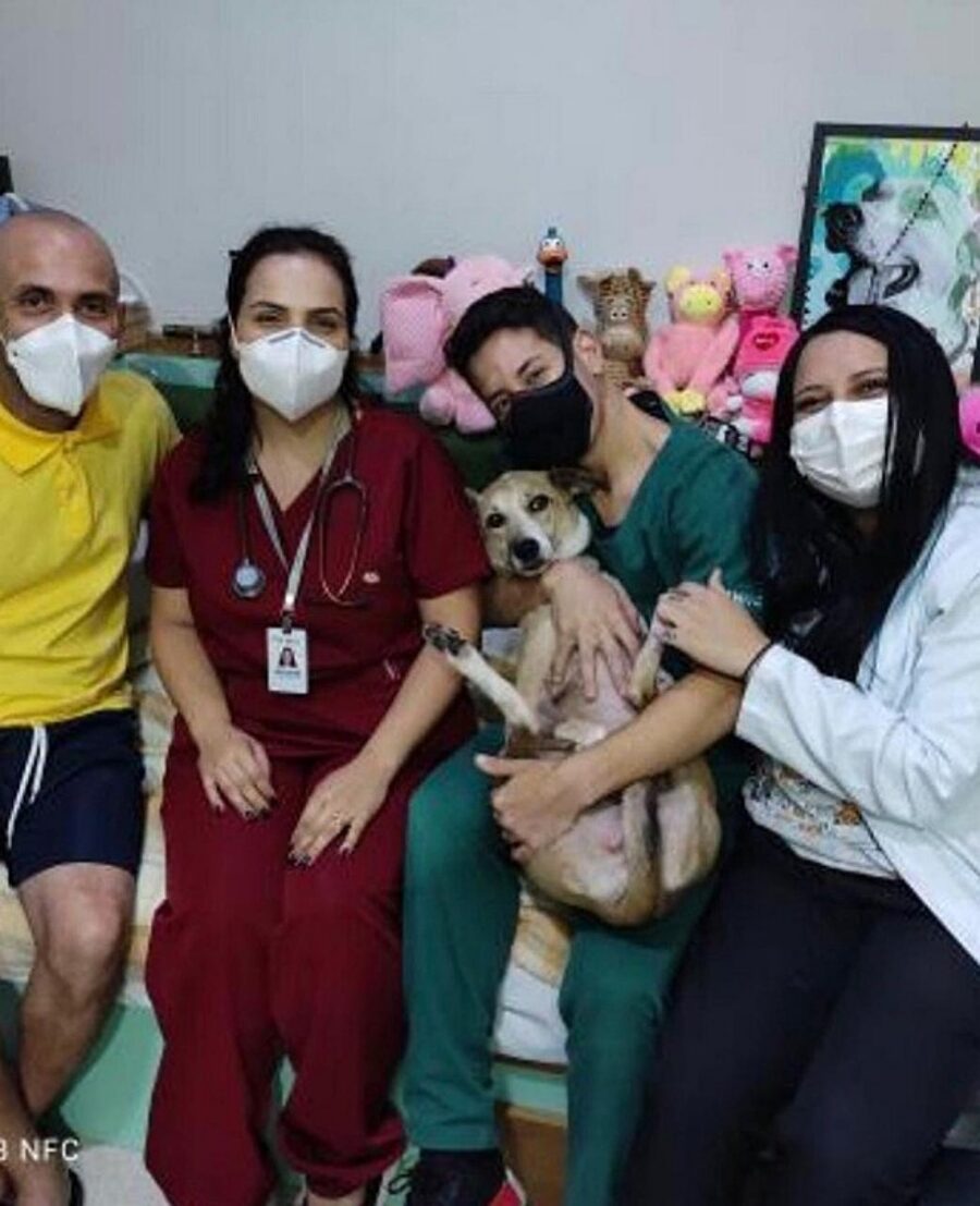 cagnolina esce dalla clinica