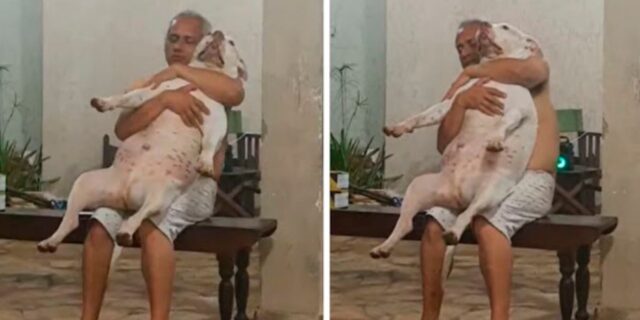 Il padre a cui non piacevano i cani che culla dolcemente il pitbull adottato dalla figlia diventa virale