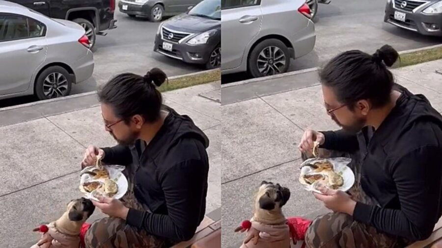 ristorante caccia uomo con cane