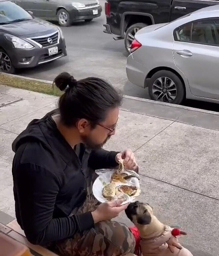 ristorante caccia uomo con cane