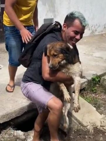 Cucciolo di cane salvato da un tombino: è subito festa nel paese