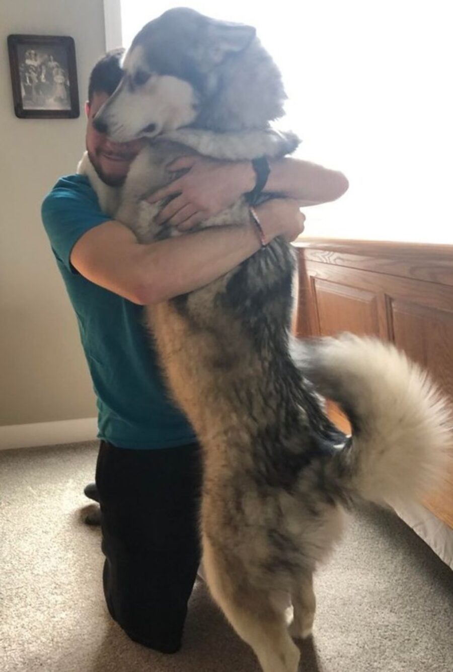 cane abbraccio 