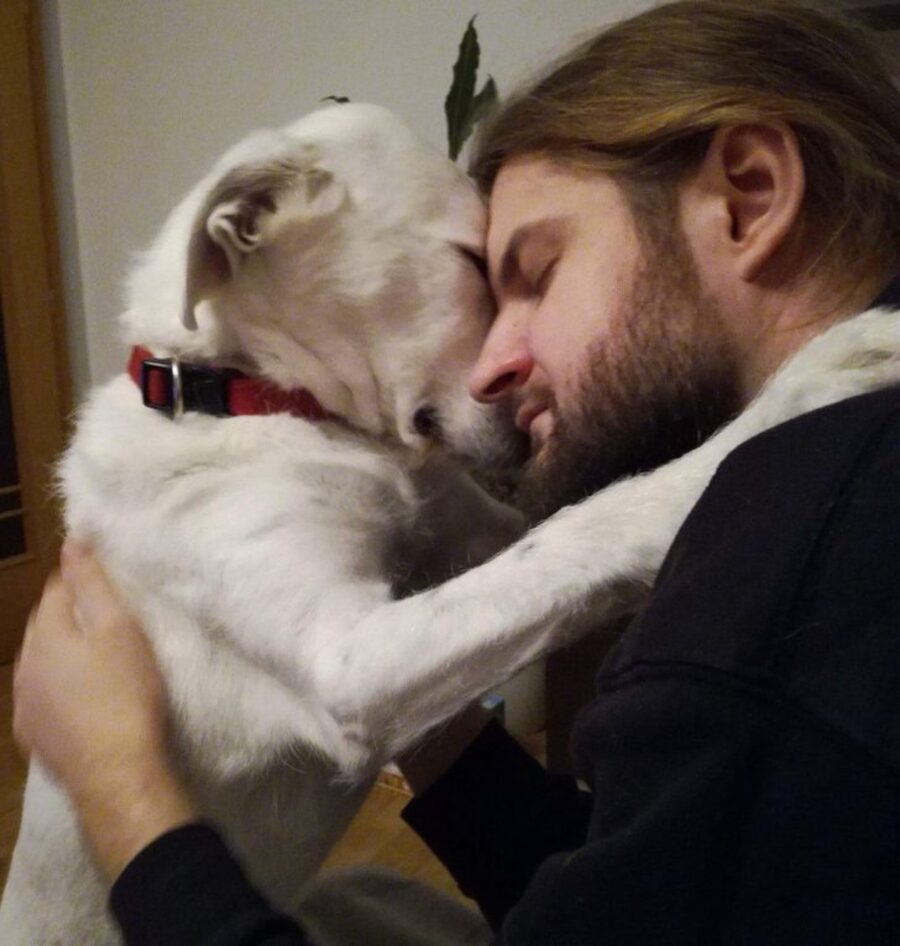 abbraccio dolce cane