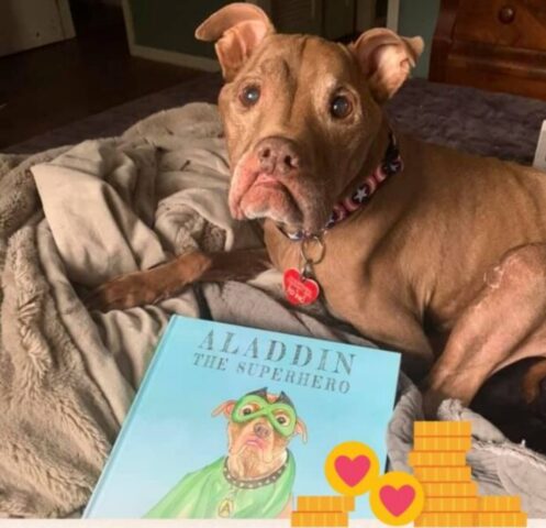 Aladdin, il cagnolone fonte di ispirazione per molti, è volato sul ponte