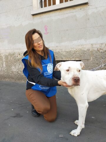 Pongo, il cane adottato da una senzatetto, ha bisogno di cure