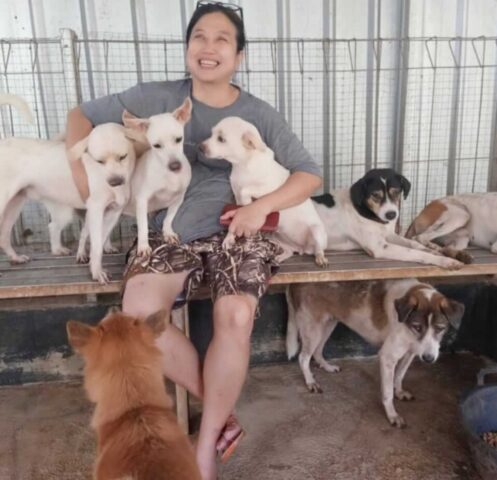 Susana, la donna che ha salvato più di 1000 cani dal macello