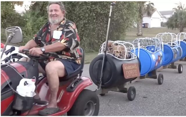 Cuccioli di cane viaggiano con un trenino davvero particolare