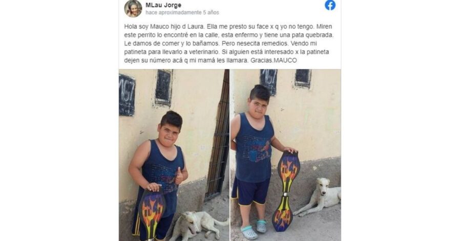 bambino di 9 anni ha messo in vendita il suo skateboard per salvare la vita ad un cagnolino di strada