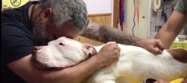 Un uomo “duro” crolla nel dire addio al suo cane con cui ha vissuto per 14 anni