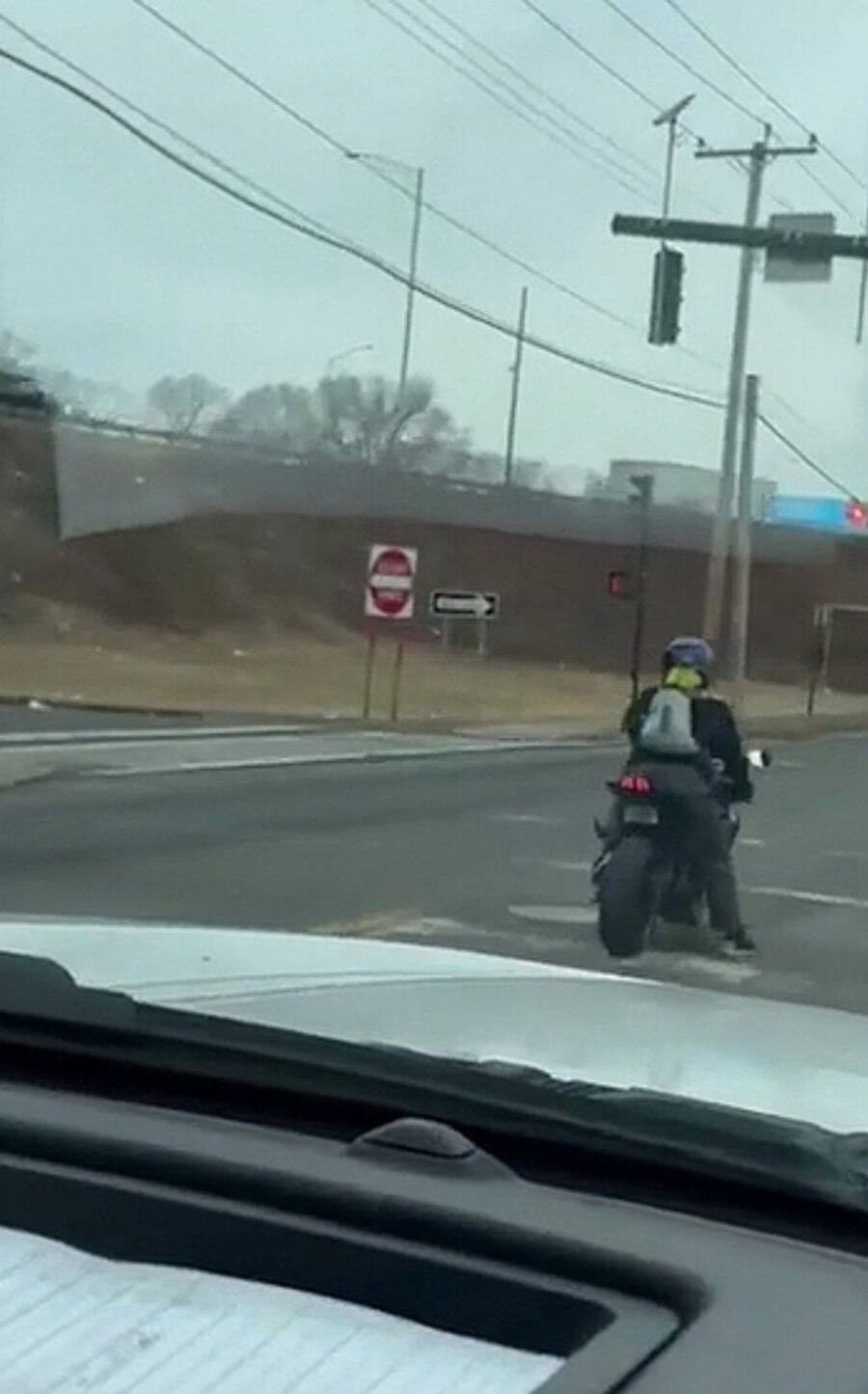 cane sulla schiena del motociclista