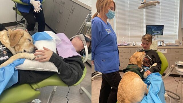 I bambini che hanno paura del dentista vengono accompagnati da cani da terapia; il nuovo progetto di un dentista pediatrico