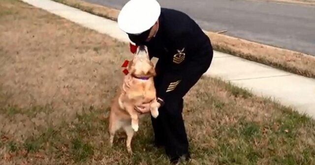 Il cane malato riesce ad abbracciare il padrone per un’ultima volta