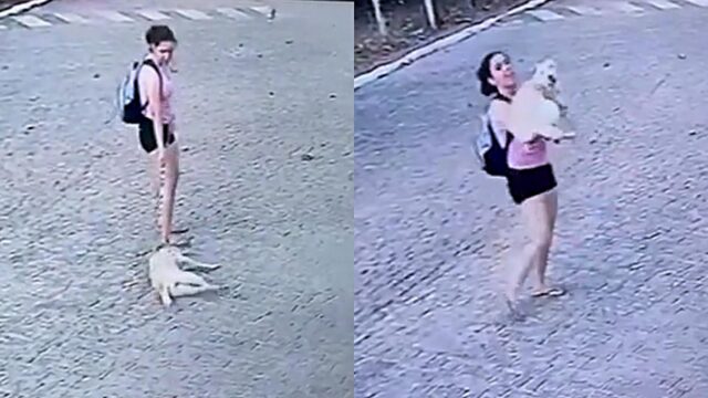 La cagnolina si getta a terra dopo la passeggiata perché non vuole tornare a casa. L’imbarazzo della sua padrona in strada