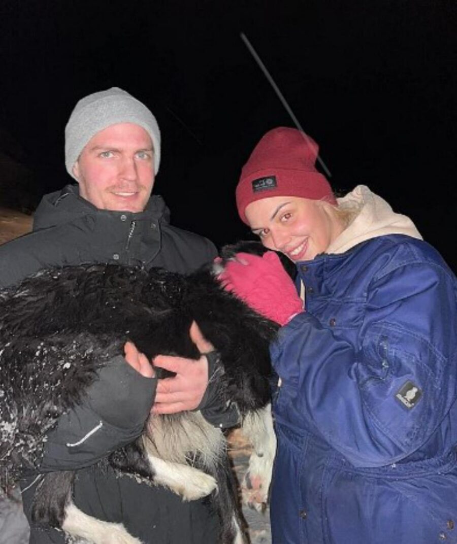 cane trovato tra le montagne