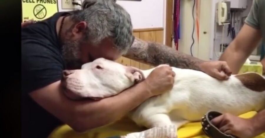 Uno dei momenti più devastanti e tragici quello che ha vissuto quest'uomo con la perdita del suo cane. Guarda il video commuovente