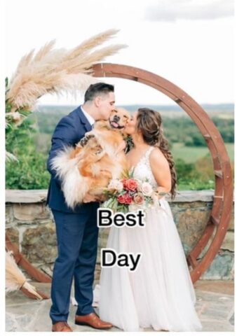 Cucciolo di cane partecipa al set fotografico del matrimonio