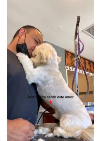 Cucciolo di cane offre abbracci e coccole al suo papà adottivo