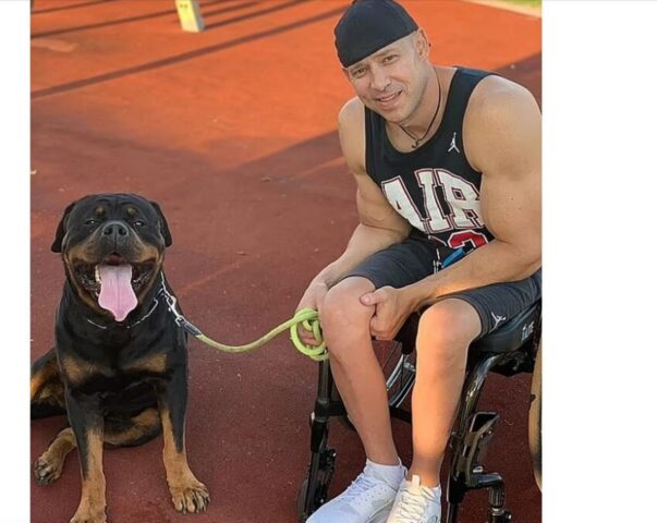 Cucciolo di cane salvato per un pelo da un uomo in sedia a rotelle