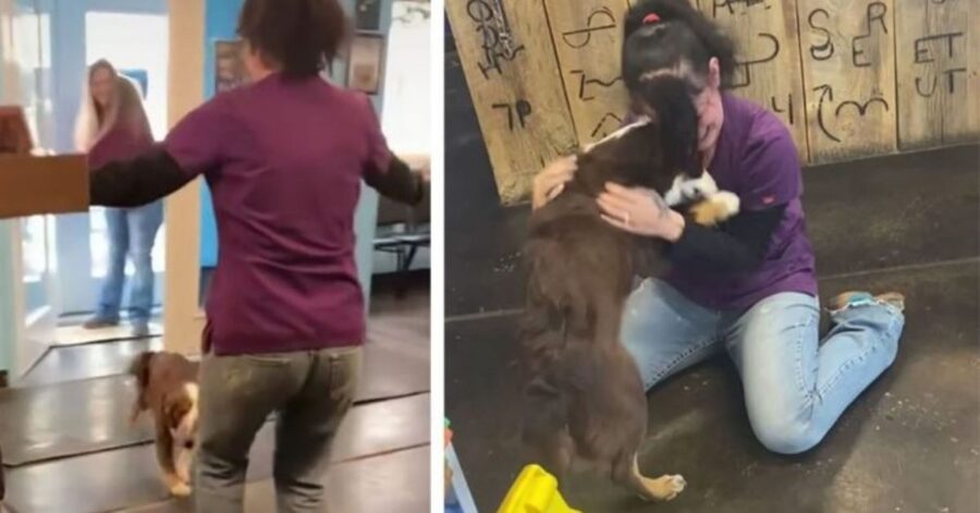 Cane smarrito per tre settimane piange di gioia al rivedere la sua mamma