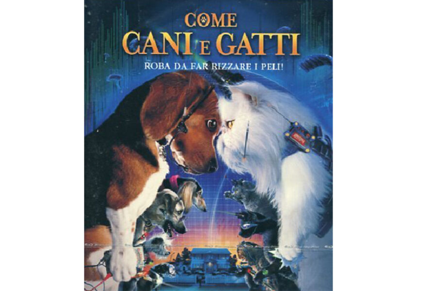 cani e gatti rivali in un film