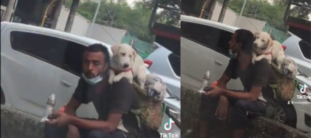 Un giovane senzatetto condivide il suo cibo con il cucciolo che porta sulla schiena