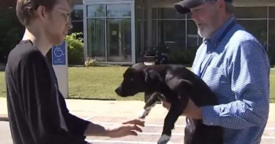 Una famiglia si accampa fuori dal rifugio per 27 ore per adottare un cane con una macchia a forma di cuore