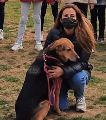 Cuccioli di cane impegnati nella pet therapy a scuola