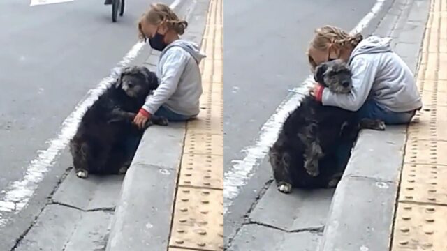 bambino coccola cane in strada