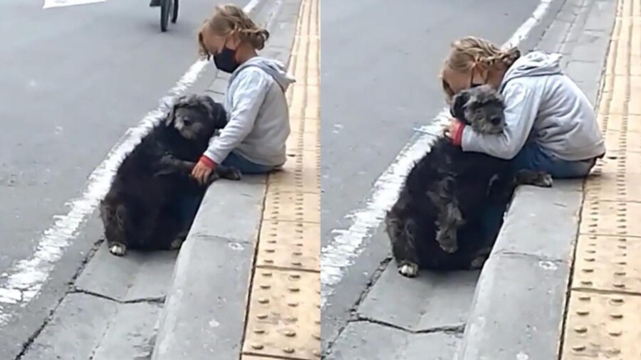 bambino coccola cane in strada