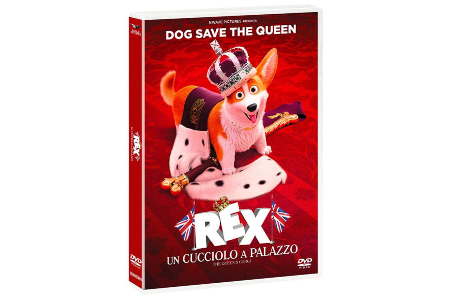 cofanetto dvd con film a tema cani