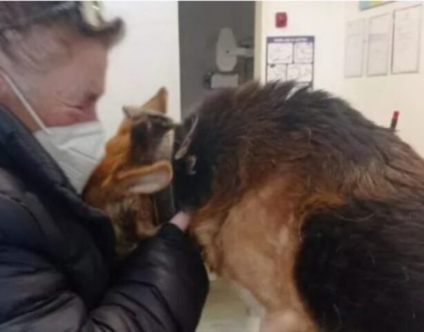 Cucciolo di cane con una storia particolare di adozione alle spalle