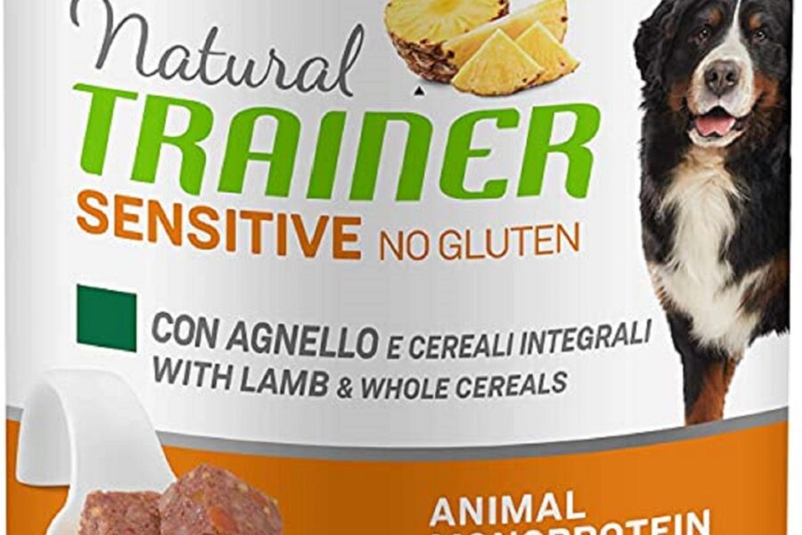 scatola di cibo umido per cani