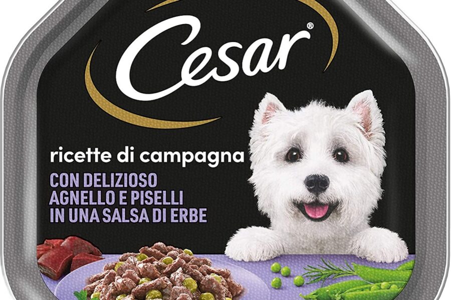 cibo in scatola per il cane